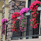 Artificial Violet Garland